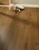 Mayfair Golden Fudge Oak Engineered Wood Flooring