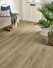 EvoCore Premium - Sahara Oak