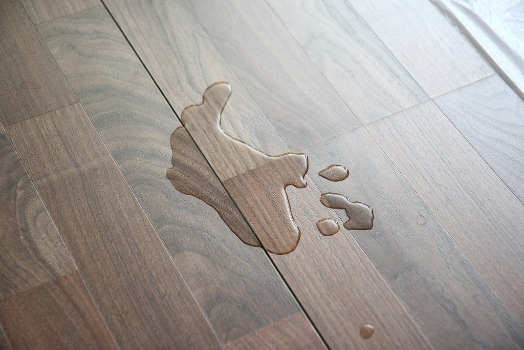 Cleaning water on laminate flooring clean laminate flooring