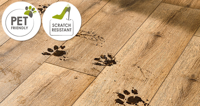 EvoCore Essentials - Scandinavian White Oak - Descriptive 8
